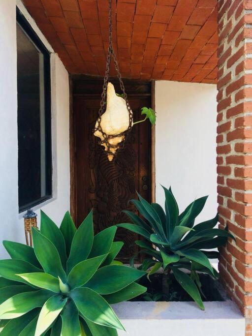 Finca Taino. Hermosa Casa Con Alberca Jiutepec Exterior foto